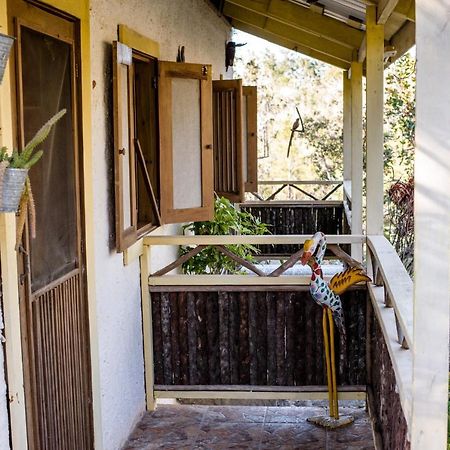 Pine Ridge Lodge San Ignacio Exterior foto