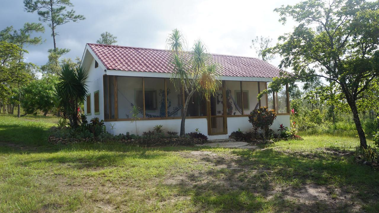 Pine Ridge Lodge San Ignacio Exterior foto